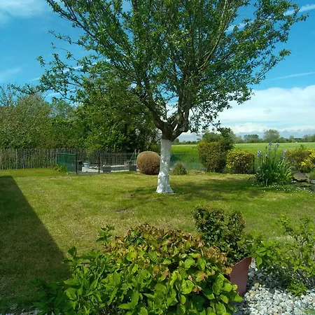 Les D'alex N°2 Quend