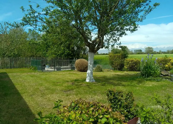 Les D'alex N°2 Quend